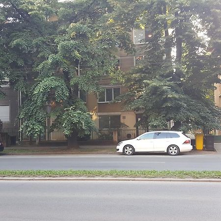 Sweet Home Timisoara Exterior foto